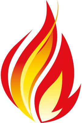 FHIR Healthcare logo